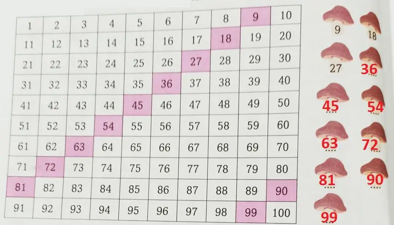 3. Sınıf Matematik Ders Kitabı Sayfa 37-38-39-40-41-42 Cevapları Ekoyay Yayıncılık 19 3. Sınıf Matematik Ders Kitabı Sayfa 40 Cevapları Ekoyay Yayıncılık