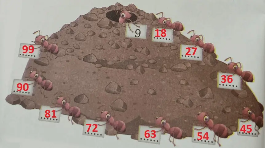 3. Sınıf Matematik Ders Kitabı Sayfa 37-38-39-40-41-42 Cevapları Ekoyay Yayıncılık 24 3. Sınıf Matematik Ders Kitabı Sayfa 42 Cevapları Ekoyay Yayıncılık1