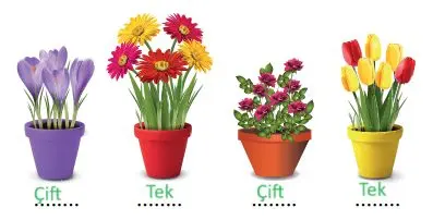 3. Sınıf Matematik Ders Kitabı Sayfa 46-47-50 Cevapları Ekoyay Yayıncılık 2 3. Sınıf Matematik Ders Kitabı Sayfa 47 Cevapları Ekoyay Yayınları