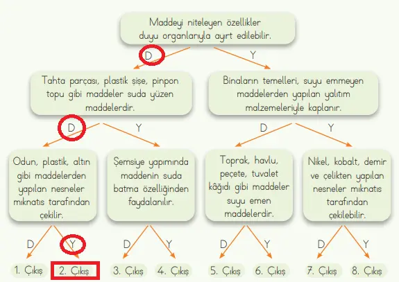 4. Sınıf Fen Bilimleri Ders Kitabı Sayfa 98-100-101-102 Cevapları MEB Yayınları 2 4. Sınıf Fen Bilimleri Ders Kitabı Sayfa 102 Cevapları MEB Yayınları