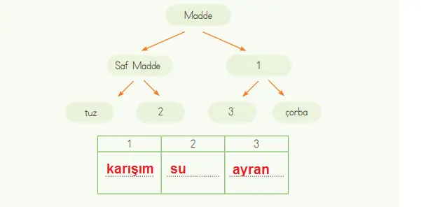 4. Sınıf Fen Bilimleri Ders Kitabı Sayfa 128-129-130-131 Cevapları MEB Yayınları 3 4. Sınıf Fen Bilimleri Ders Kitabı Sayfa 131 Cevapları MEB Yayınları