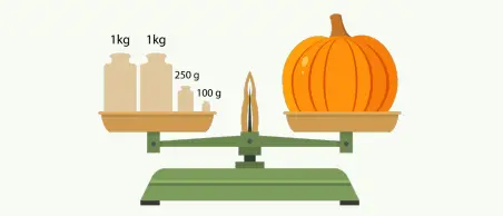 4. Sınıf Fen Bilimleri Ders Kitabı Sayfa 132-133-134-135-136-137 Cevapları MEB Yayınları 10 4. Sınıf Fen Bilimleri Ders Kitabı Sayfa 137 Cevapları MEB Yayınları