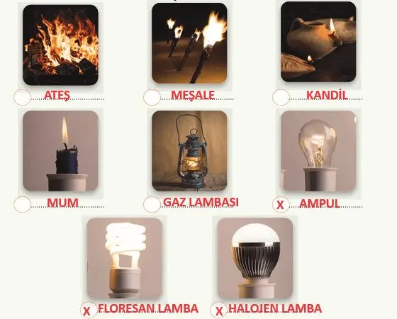 4. Sınıf Fen Bilimleri Ders Kitabı Sayfa 140-142-143-145-146 Cevapları MEB Yayınları