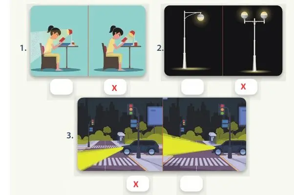 4. Sınıf Fen Bilimleri Ders Kitabı Sayfa 147-149-150-153 Cevapları MEB Yayınları