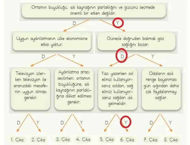 4. Sınıf Fen Bilimleri Ders Kitabı Sayfa 147-149-150-153 Cevapları MEB Yayınları 2 4. Sınıf Fen Bilimleri Ders Kitabı Sayfa 153 Cevapları MEB Yayınları