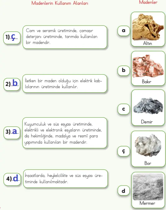 4. Sınıf Fen Bilimleri Ders Kitabı Sayfa 27 Cevapları MEB Yayınları