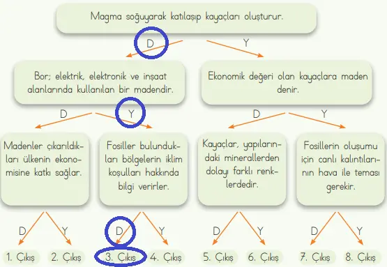 4. Sınıf Fen Bilimleri Ders Kitabı Sayfa 29-31-32 Cevapları MEB Yayınları 6 4. Sınıf Fen Bilimleri Ders Kitabı Sayfa 32 Cevapları MEB Yayınları