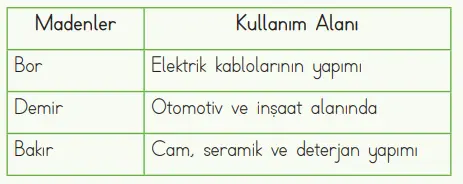 4. Sınıf Fen Bilimleri Ders Kitabı Sayfa 38-39-40-41-42-43 Cevapları MEB Yayınları 18 4. Sınıf Fen Bilimleri Ders Kitabı Sayfa 42 Cevapları MEB Yayınları
