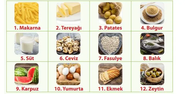 4. Sınıf Fen Bilimleri Ders Kitabı Sayfa 46-47-48-49-50-51-52-54 Cevapları MEB Yayınları