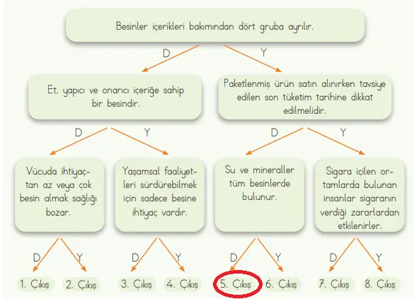 4. Sınıf Fen Bilimleri Ders Kitabı Sayfa 67 Cevapları MEB Yayınları