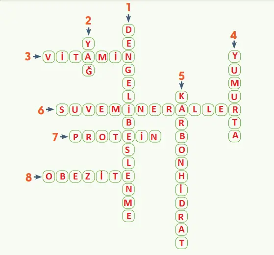 4. Sınıf Fen Bilimleri Ders Kitabı Sayfa 68 Cevapları MEB Yayınları