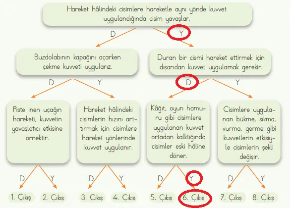 4. Sınıf Fen Bilimleri Ders Kitabı Sayfa 74-76-77-78-79 Cevapları MEB Yayınları 2 4. Sınıf Fen Bilimleri Ders Kitabı Sayfa 79 Cevapları MEB Yayınları