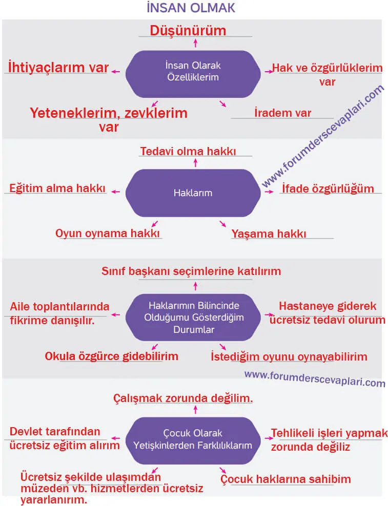 4. Sınıf İnsan Hakları Ders Kitabı Sayfa 18-19-20-21 Cevapları Hecce Yayıncılık 3 4. Sınıf İnsan Hakları Ders Kitabı Sayfa 21 Cevapları Hecce Yayıncılık