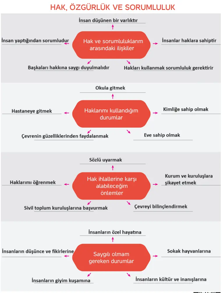 4. Sınıf İnsan Hakları Ders Kitabı Sayfa 38-39-40-41 Cevapları Hecce Yayıncılık