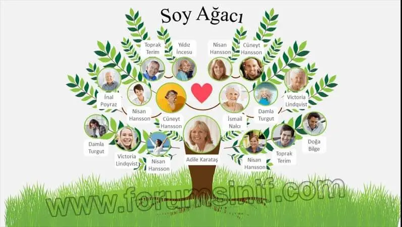 4. Sınıf Sosyal Bilgiler Ders Kitabı Sayfa 28-29-30 Cevapları Hecce Yayıncılık