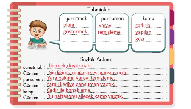 4. Sınıf Türkçe Ders Kitabı Sayfa 78-80-81-82-83 Cevapları MEB Yayınları