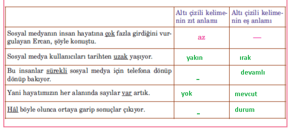 5. Sınıf Türkçe Ders Kitabı Sayfa 226 Cevapları Anıttepe Yayınları