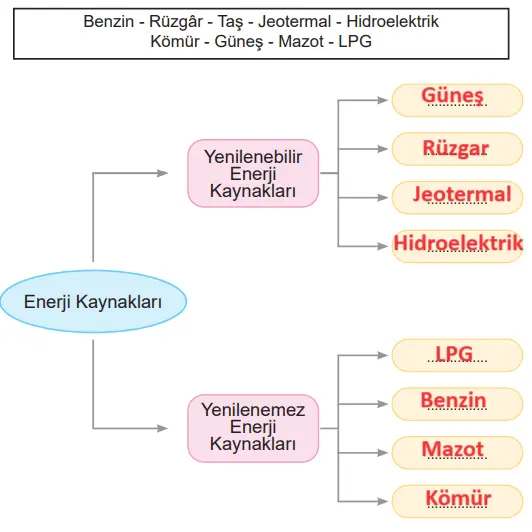 6. Sınıf Fen Bilimleri Ders Kitabı Sayfa 134-139-140-141 Cevapları MEB Yayınları