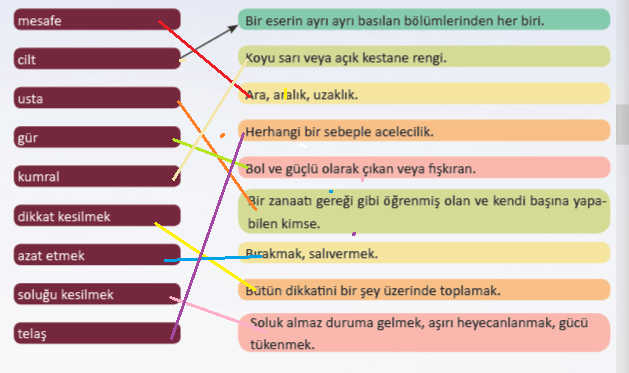 6. Sınıf Türkçe Ders Kitabı Sayfa 120 Cevapları MEB Yayınları