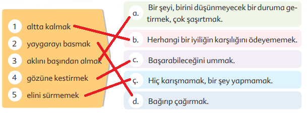 6. Sınıf Türkçe Ders Kitabı Sayfa 39