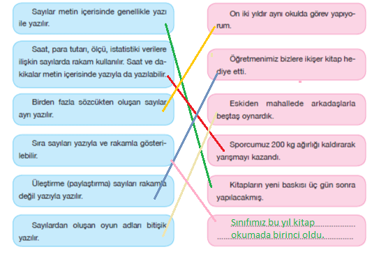 7. Sınıf Türkçe Ders Kitabı Sayfa 186 Cevapları Özgün Yayınları