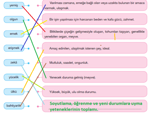 7. Sınıf Türkçe Ders Kitabı Sayfa 201 Cevapları Özgün Yayınları