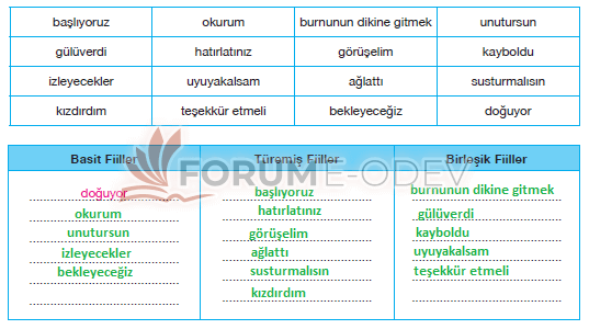7. Sınıf Türkçe Sayfa 148-149-150-151-152 Cevapları Özgün Yayınları