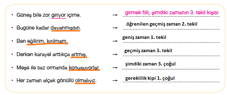 7. Sınıf Türkçe Sayfa 74-75-76-77-78 Cevapları Özgün Yayınları