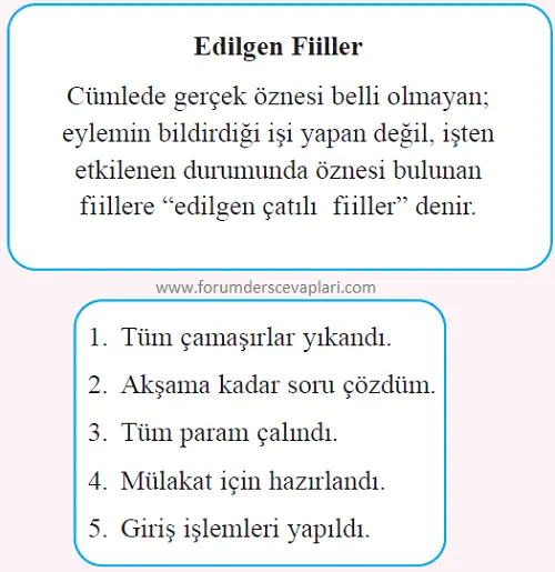 8. Sınıf Türkçe Ders Kitabı Sayfa 121-122-123-124-125. Cevapları Hecce Yayıncılık