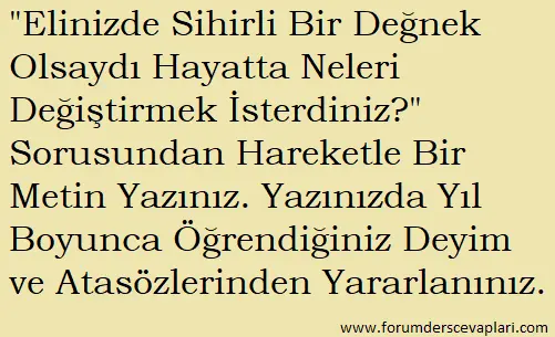 Elinizde Sihirli Bir Değnek Olsaydı Hayatta Neleri Değiştirmek İsterdiniz? 2 Elinizde Sihirli Bir Değnek Olsaydı Hayatta Neleri Değiştirmek İsterdiniz
