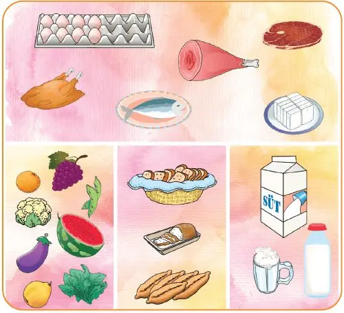 4. Sınıf Sosyal Bilgiler Ders Kitabı Sayfa 130-131-132-133 Cevapları Hecce Yayıncılık