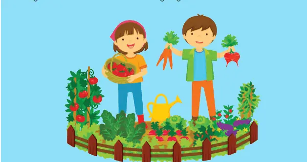 Yeryüzünde Bitkiler Olmasaydı Neler Olurdu? 1 çevremizde ki bitkiler.