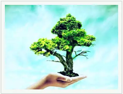 Doğayı ve Çevreyi Neden korumalıyız? 1 doğa ve çevreyi koruma