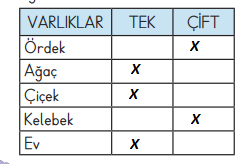 3. Sınıf Matematik Ders Kitabı Sayfa 45 Cevapları MEB Yayınları