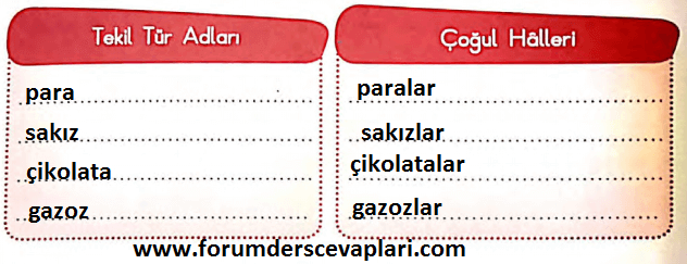 3. Sınıf Türkçe Ders Kitabı SDR İpekyolu Yayınları Sayfa 142 Cevapları