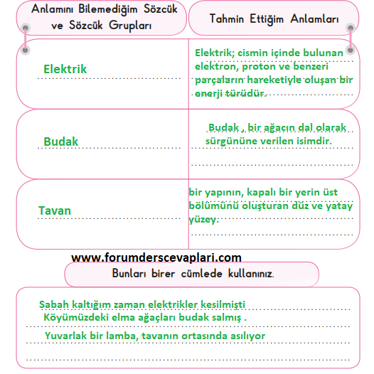 3. Sınıf Türkçe Ders Kitabı SDR İpekyolu Yayınları Sayfa 168 Cevapları