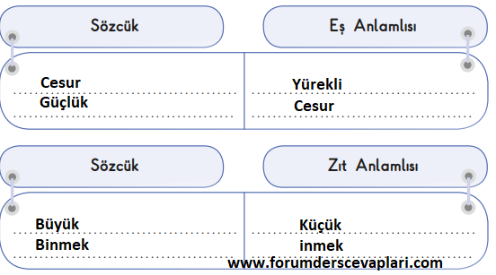 3. Sınıf Türkçe Ders Kitabı SDR İpekyolu Yayınları Sayfa 234 Cevapları