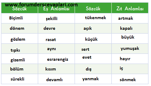 3. Sınıf Türkçe Ders Kitabı SDR İpekyolu Yayınları Sayfa 285 Cevapları