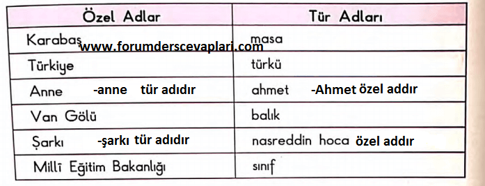 3. Sınıf Türkçe Ders Kitabı SDR İpekyolu Yayınları Sayfa 88 Cevapları