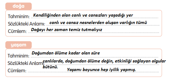 3. Sınıf Türkçe Ders Kitabı Sayfa 14 Cevapları Gizem Yayınları