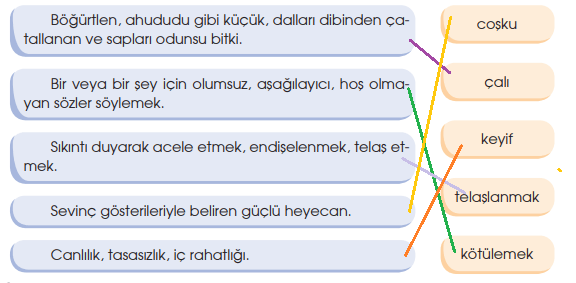 4. Sınıf Türkçe Ders Kitabı Sayfa 163 Cevapları Özgün Yayınları