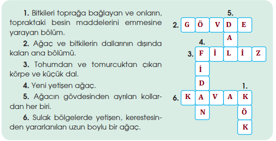 4. Sınıf Türkçe Ders Kitabı Sayfa 169 Cevapları Özgün Yayınları