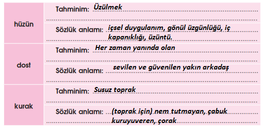 4. Sınıf Türkçe Ders Kitabı Sayfa 17 Cevapları Özgün Yayınları