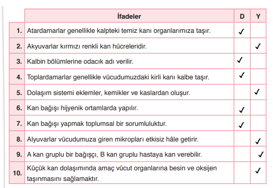 6. Sınıf Fen Bilimleri Ders Kitabı Sayfa 62 Cevapları Anadol Yayınları 