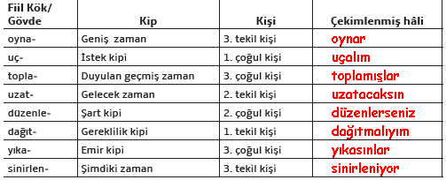 7. Sınıf Türkçe Ders Kitabı 101 Sayfa Cevapları