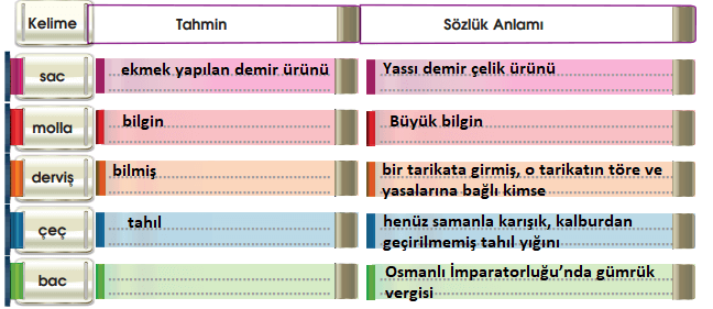 7. Sınıf Türkçe Ders Kitabı 30 Sayfa Cevapları MEB Yayınları 2.Kitap