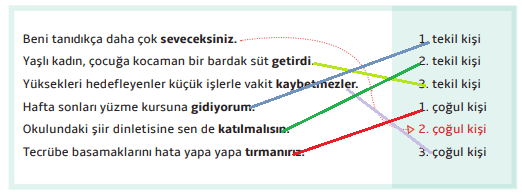 7. Sınıf Türkçe Ders Kitabı 41 Sayfa Cevapları MEB Yayınları