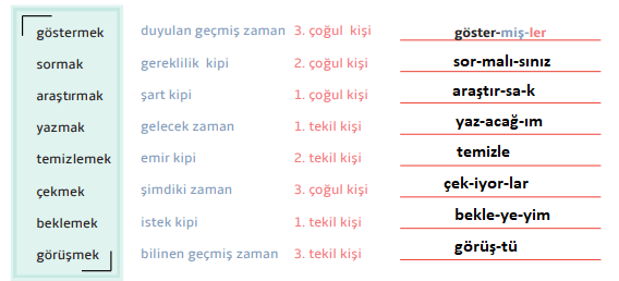 7. Sınıf Türkçe Ders Kitabı 51 Sayfa Cevapları MEB Yayınları