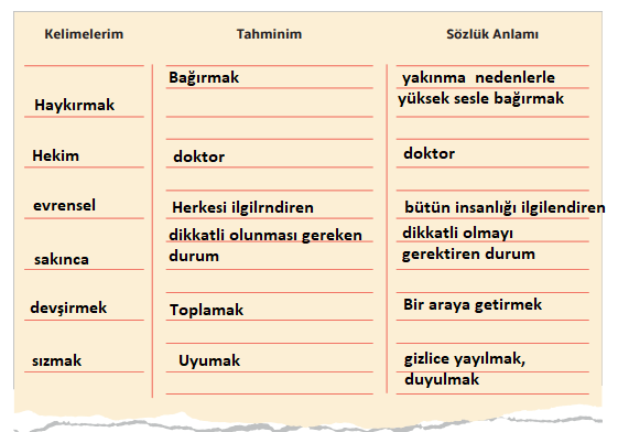 7. Sınıf Türkçe Ders Kitabı 61 Sayfa Cevapları MEB Yayınları