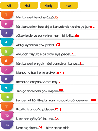 7. Sınıf Türkçe Ders Kitabı Sayfa 100 Cevapları